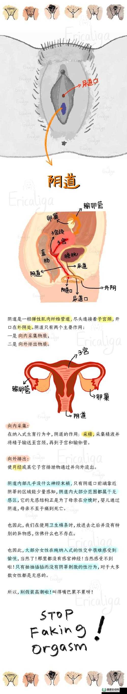 少妇 BBwBBw 高潮：探寻女性性体验的奥秘