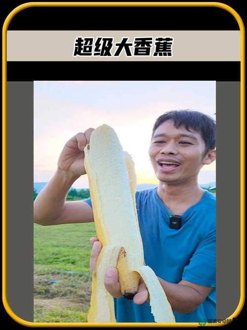 大香焦的独特魅力与多种奇妙用途
