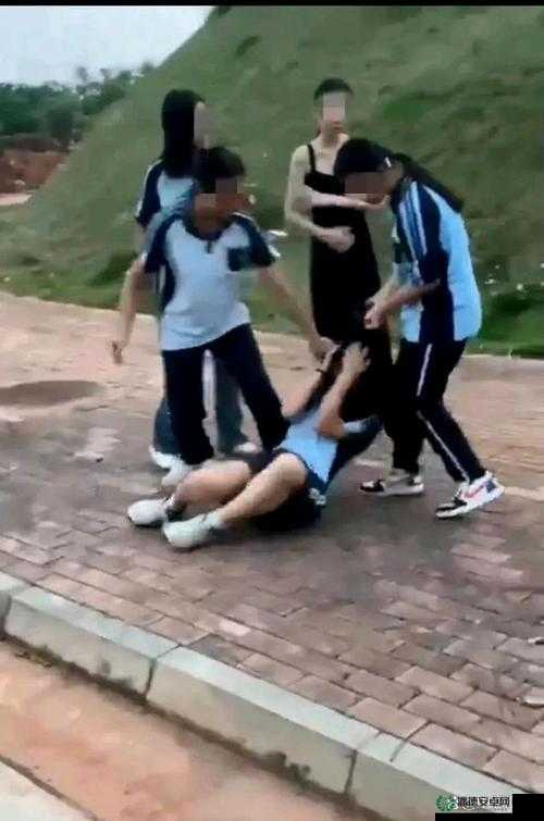 班里男生都扒我衣服视频：女生遭受的校园欺凌与心理创伤