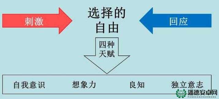 迷你忍者新手必备，全面解析资源管理的高效策略与常见问题解答