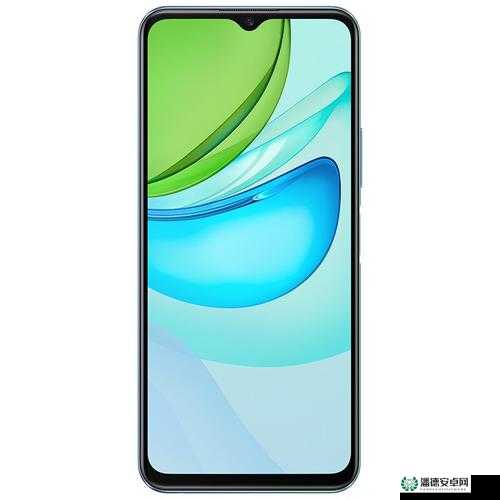 一级成色好的 y31s 标准版评测 ios 版：全面详细评测与分析
