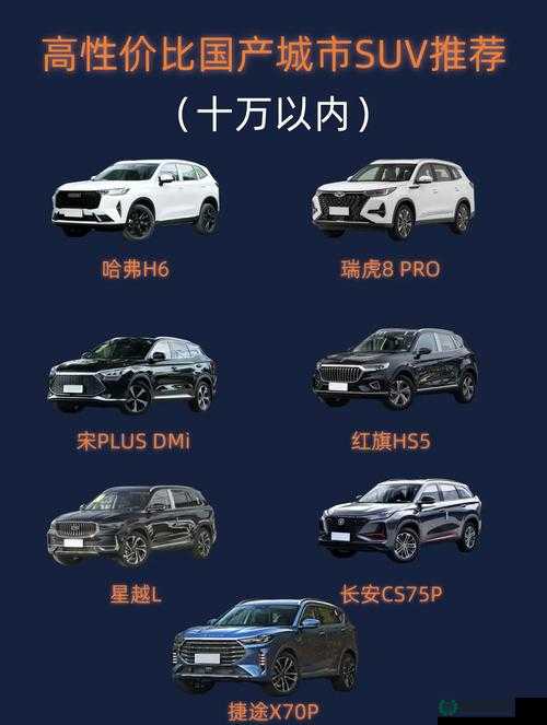 国产 SUV 精品一区二区四区三区：家用与越野的完美结合