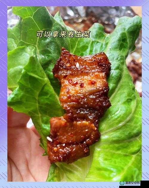 付先生 1VLH 一块五花肉的独特美味体验
