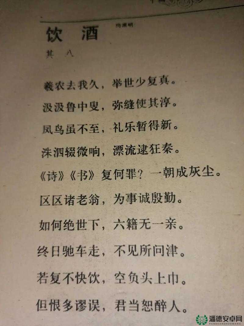 小说当姨妈醉酒后最经典十首诗：揭示醉酒背后的诗意世界