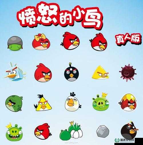 愤怒的小鸟新手如何快速掌握毕业面板？简单说明助你轻松通关！