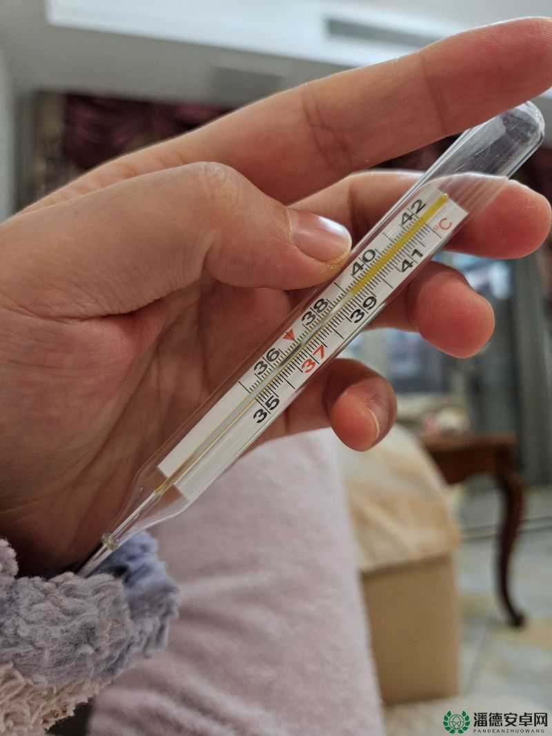 盐母 1 至 6 部：跨越时空的奇幻冒险与情感纠葛的史诗篇章