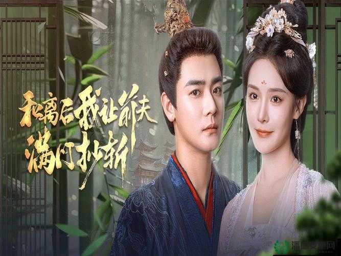 三妻四妾完整版在线观看电视剧：一部值得深入探讨的经典之作