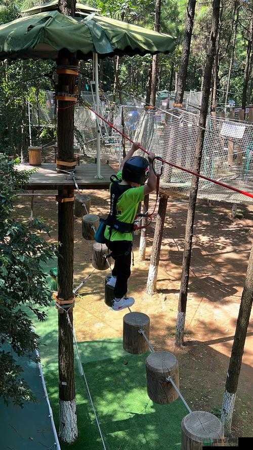 拔萝卜又疼又叫：一场充满艰辛与欢笑的田园劳作之旅