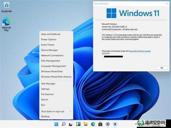 Windows11 欧美 ：探索其在欧美地区的创新与应用发展