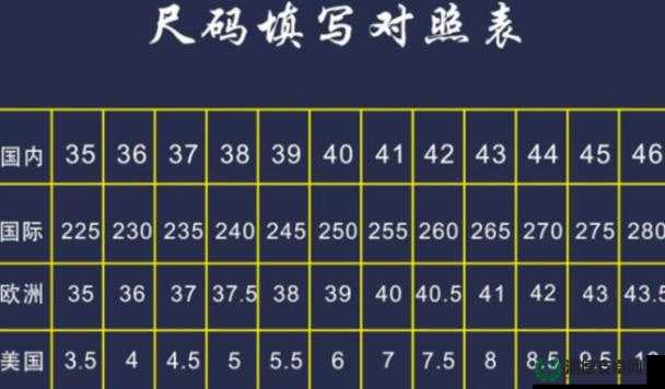 欧亚尺码专线欧洲 B1B1 如何选择：掌握精准尺码匹配的秘诀