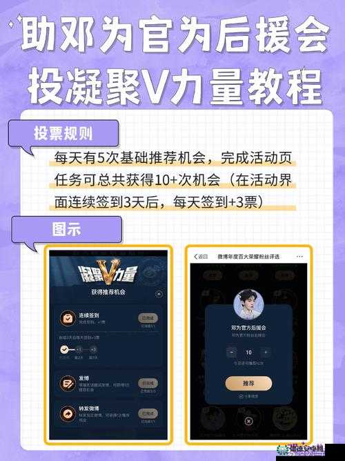 DW 成品网站成品揭秘：深入探究其背后的奥秘