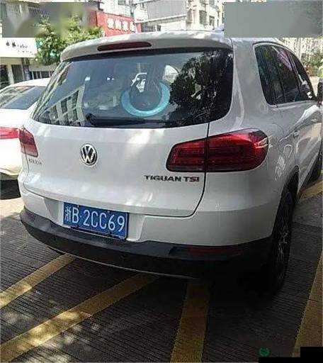 狼友车牌号相关：独特车牌号背后的故事与解读