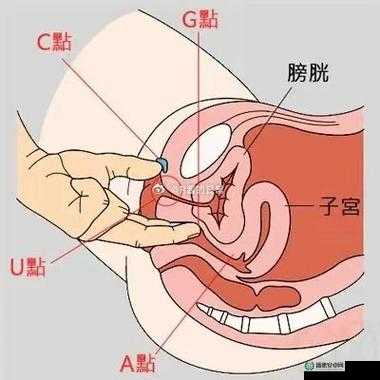 好大好爽高 H 带来极致刺激与快感体验