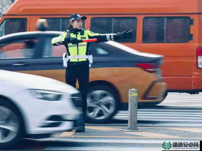 女交警：请不要在马路上做这种事