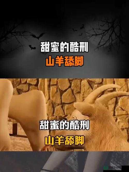 女孩子罪犯脚上涂蜂蜜放山羊：这一奇特惩罚方式背后的故事