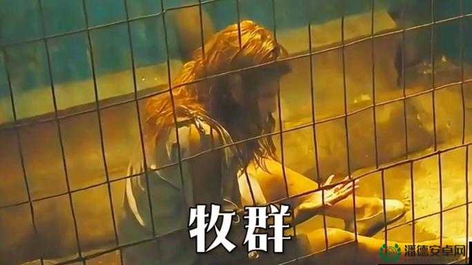 一小孩半夜喂女孩吃哑巴游戏：诡异的喂食背后隐藏着怎样的秘密？