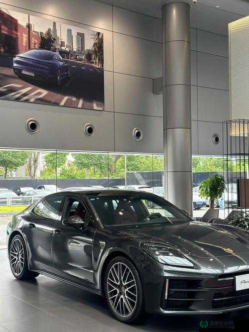 911 国精产品新：独特魅力引领新潮流