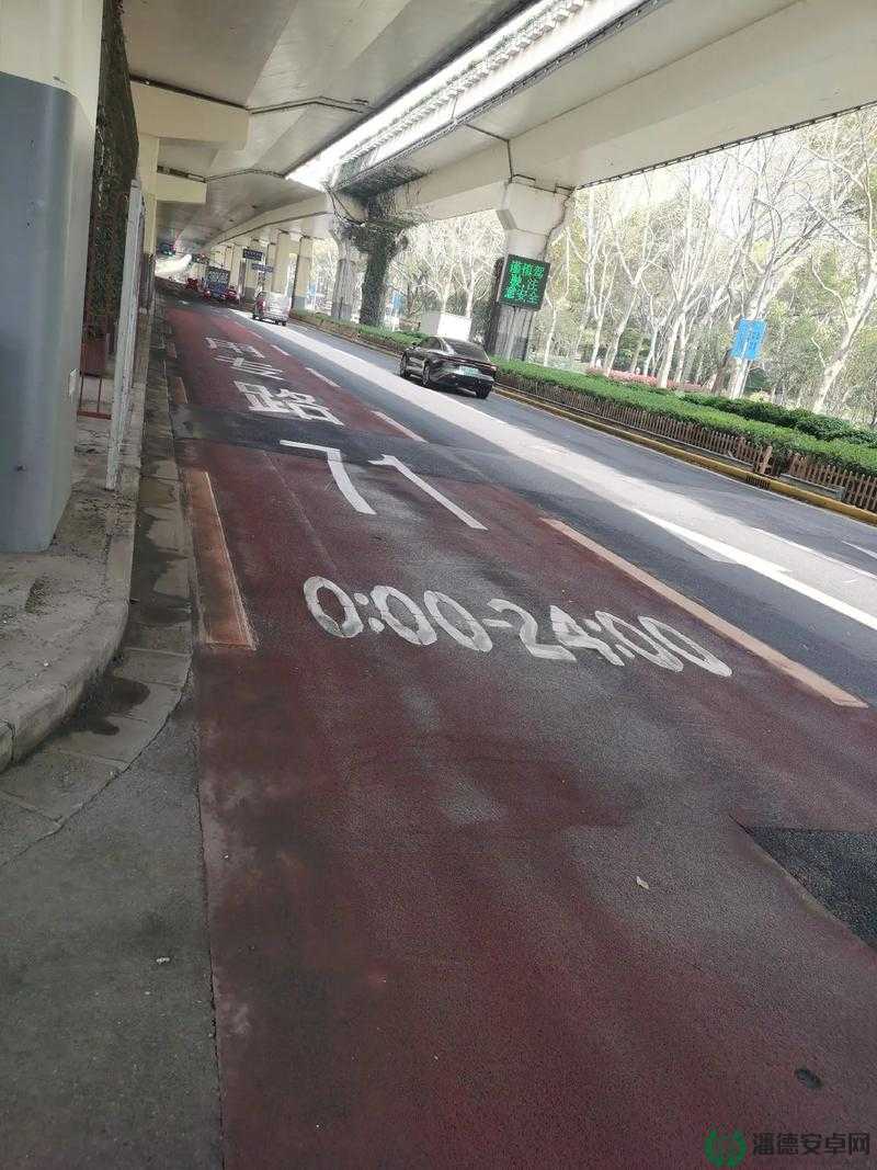公交车奶牛：城市道路上独特而可爱的存在