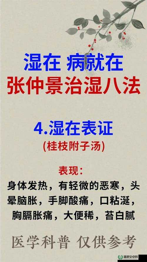 小雨与老中医的祛湿之旅：探寻传统中医祛湿的奇妙方法