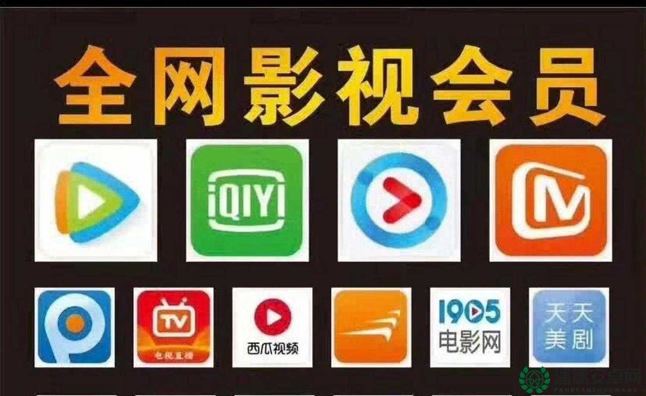 成全影视大全在线观看：精彩影视剧集一网打尽