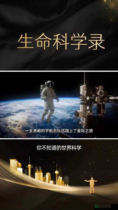 以 kuaimao8kw.xyw2 为中心，探索神秘世界的奥秘