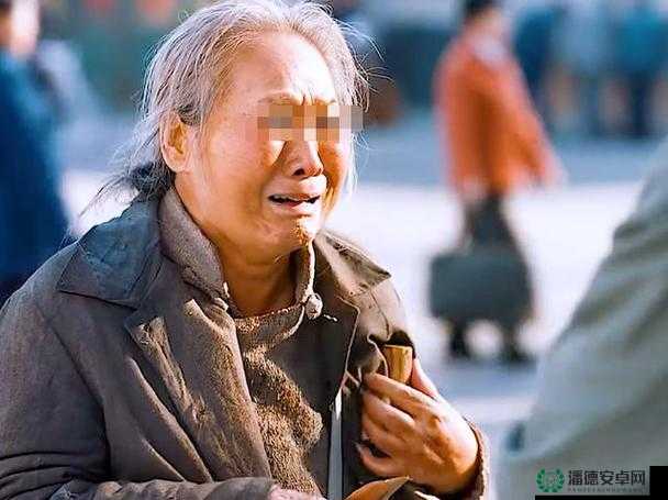 沈阳老阿姨最后的下场：其经历引发的深刻思考