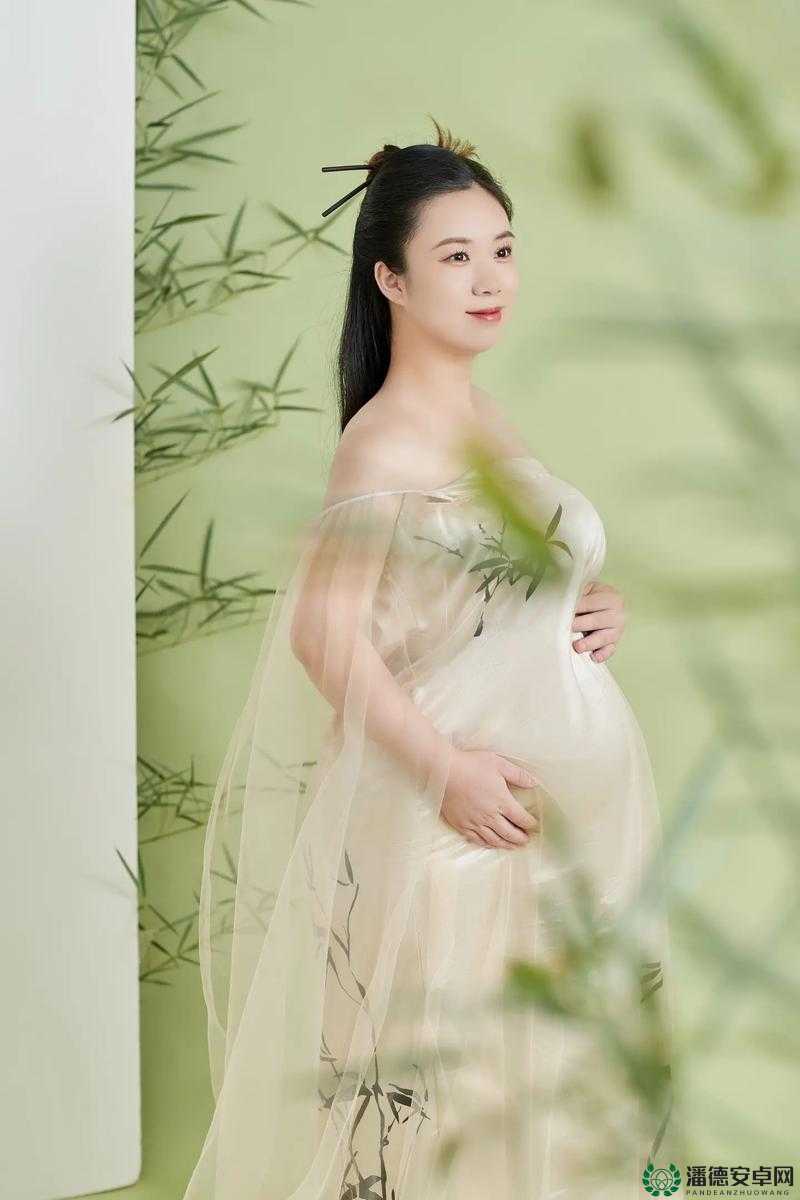 Chinese 熟女孕妇 BBW ：独特魅力的孕期女性风采