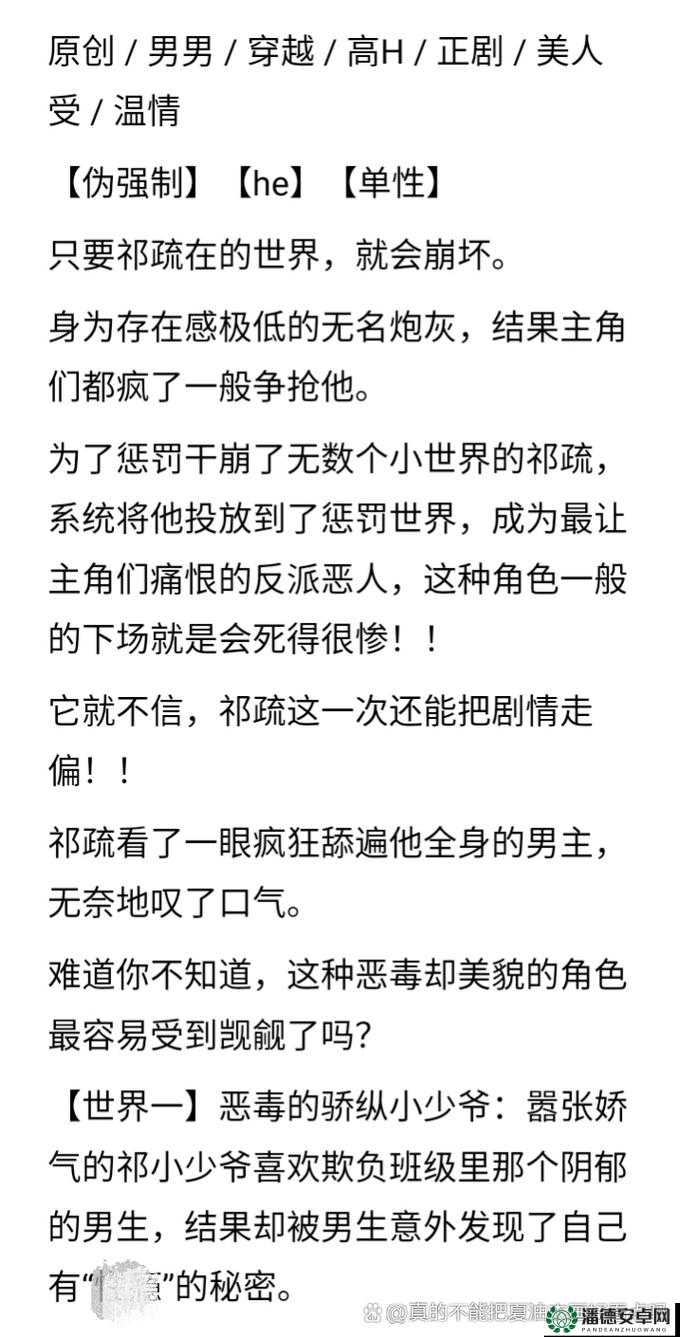 呆哥新婚兰兰完整版：浪漫时刻永恒铭记幸福启程