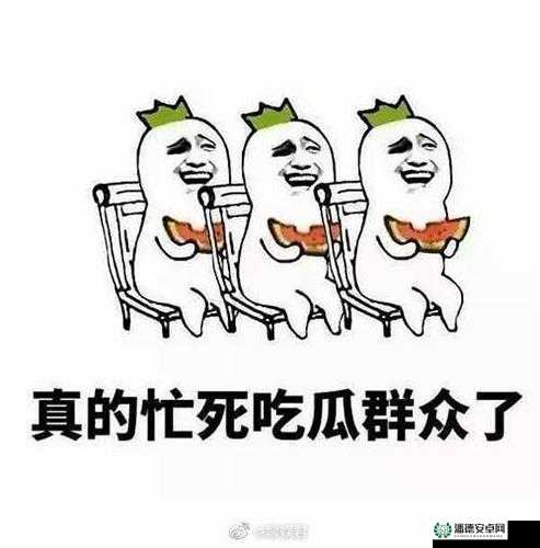 911 红领巾今日吃瓜在线观看：带你走进精彩吃瓜世界