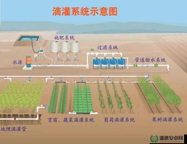 JY 灌溉系统需要每天被刷新吗：深入探讨与详细分析