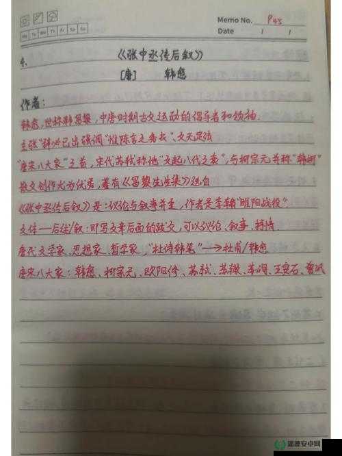 清冷丞相的挨抄日记：记录丞相生涯中的点滴与感悟