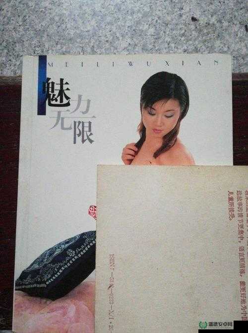 午夜剧场：探索人体艺术摄影的无限魅力