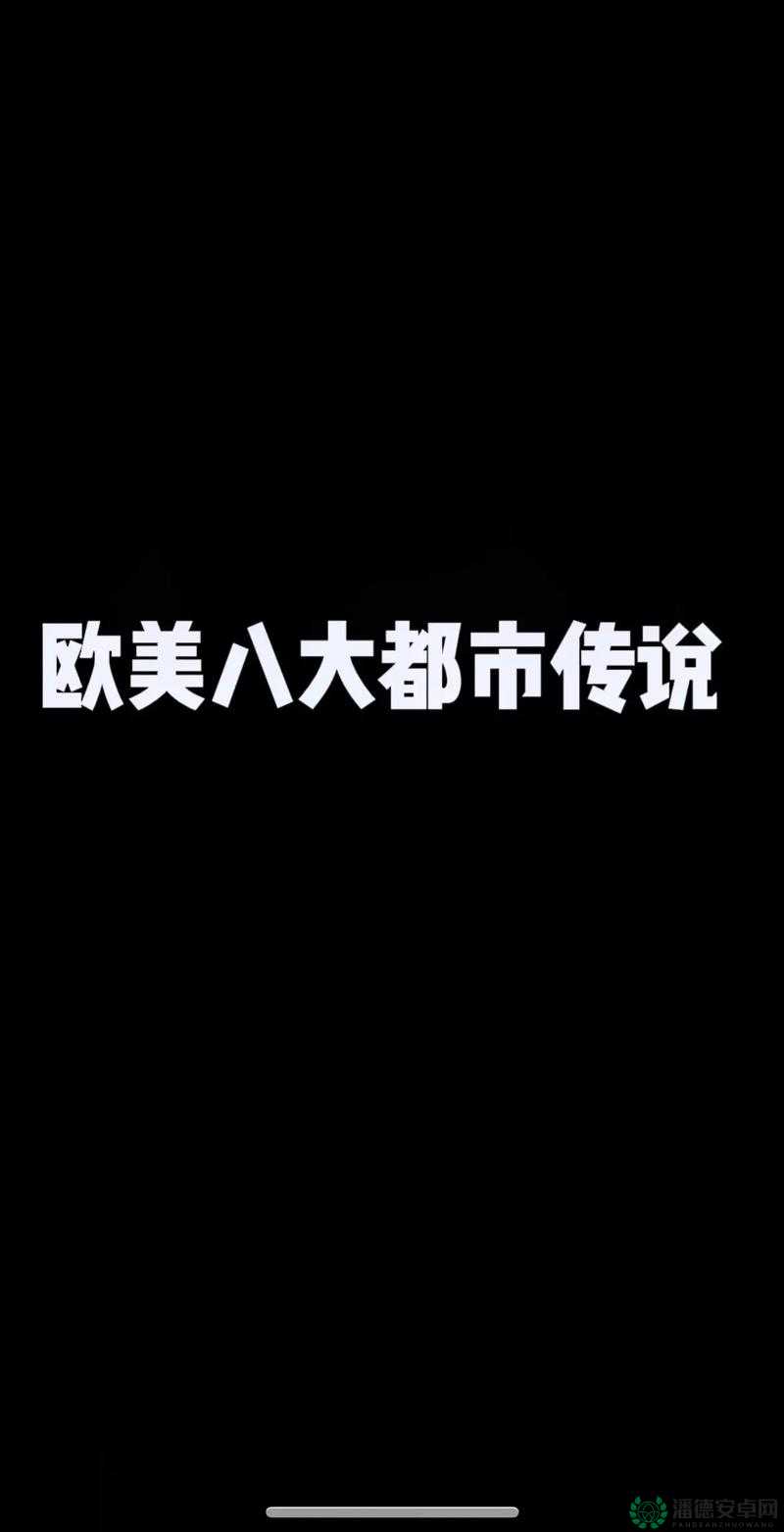 抖阴 404 背后的神秘故事与未解之谜