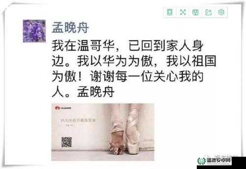 据可靠消息，yw1139 更换域名了吗？- 探寻背后的真相