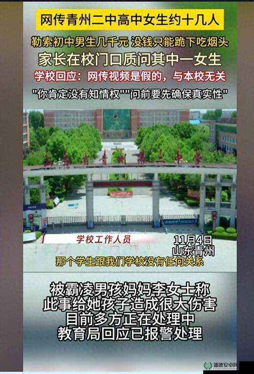 沈阳外事服务学校校花事件：一起引发争议的校园事件