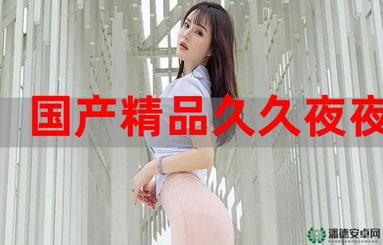 国产精品久久久久精品一级 APP：畅享极致视觉盛宴与丰富内容
