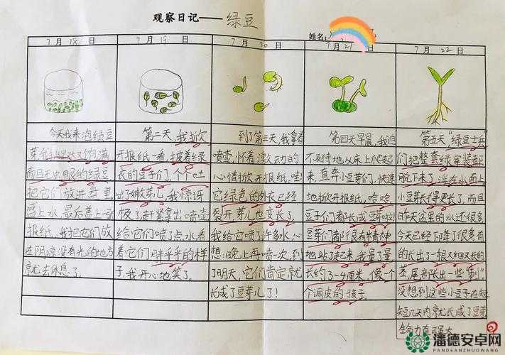 公共玩具小诗日记写作方法之如何通过观察与感受来创作有趣的作品