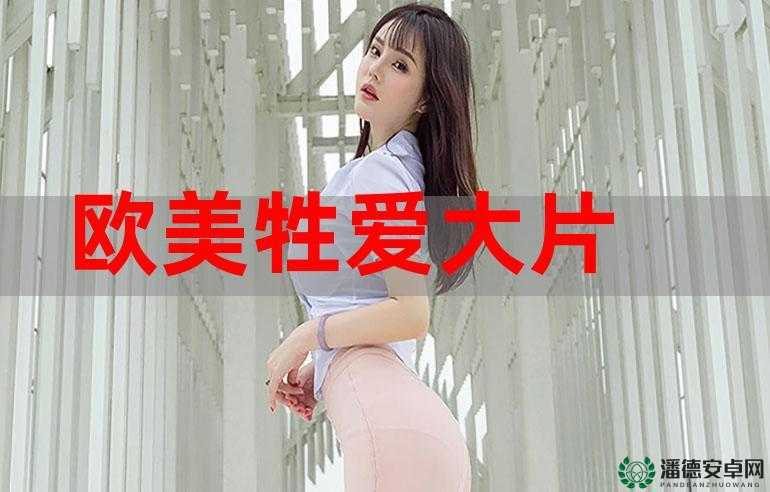 性 B BBBB 欧美中文字幕的完整性呈现及相关探讨