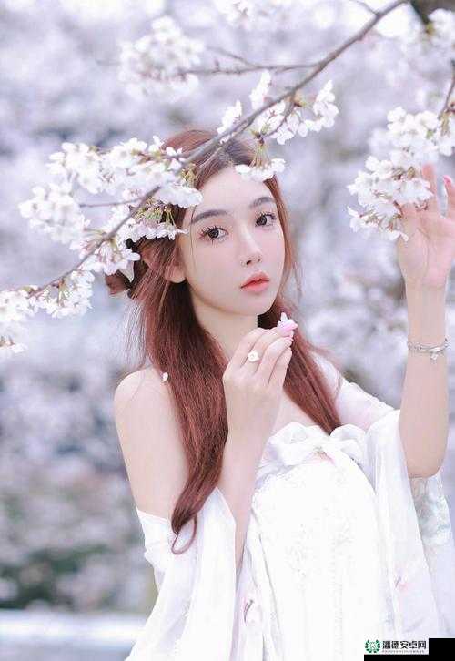 哔哩哔哩免费高清视频在线观看，无广告，无弹窗，畅享视觉盛宴
