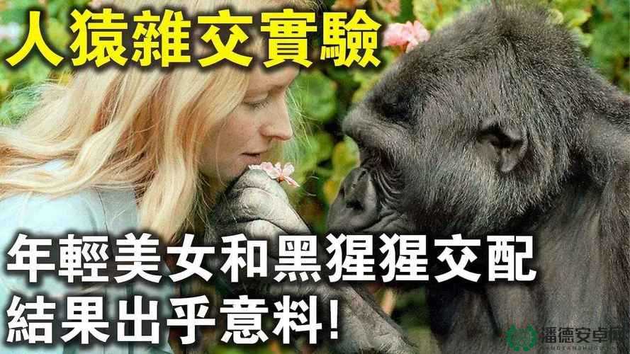 亚洲人与动物交这一特殊行为引发的深刻思考与探讨