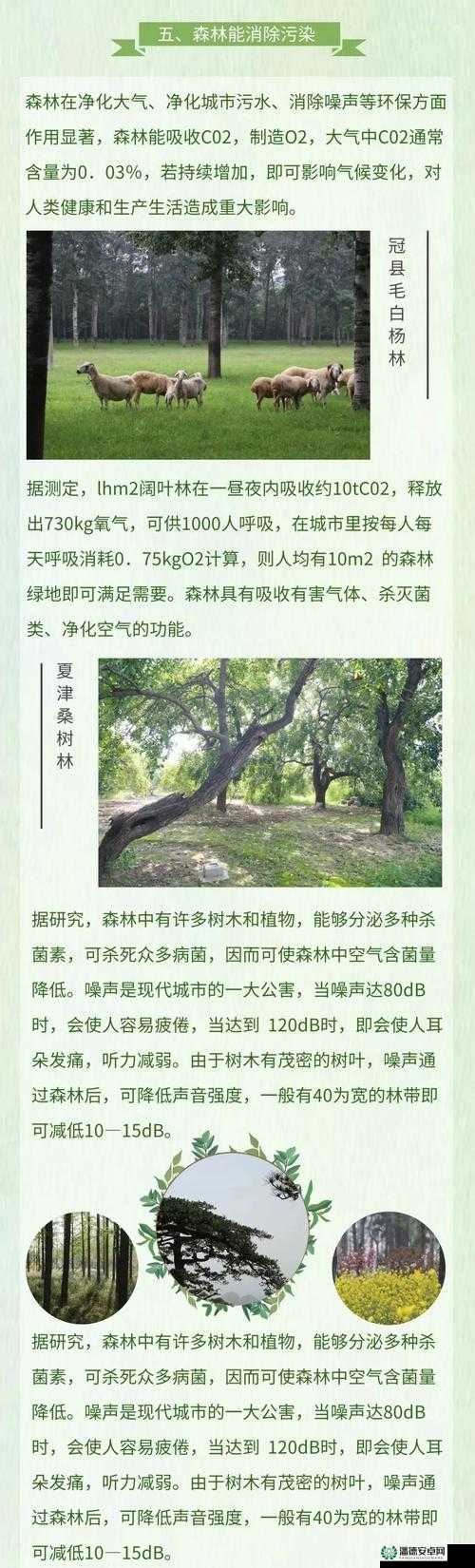 大地资源在线观看免费高清观后感：探寻地球之美与资源利用之道