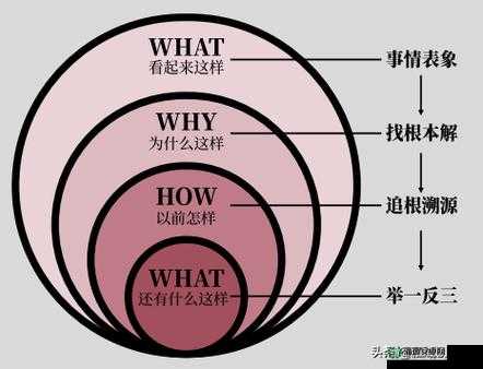 文明5深度攻略，拆城与维护费背后有何奥秘？实战操作揭秘！