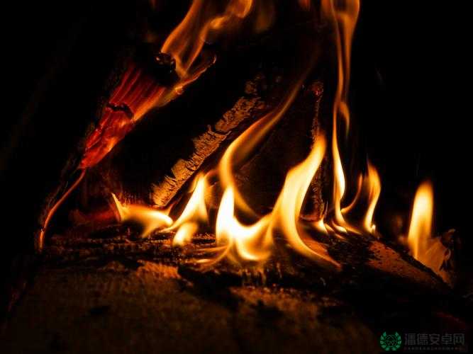 如何巧妙掌握资源管理，攻克阿达尼亚第三关Fire Wall的终极悬念？