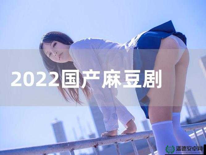 国产麻豆剧果冻传媒之精彩剧集大赏