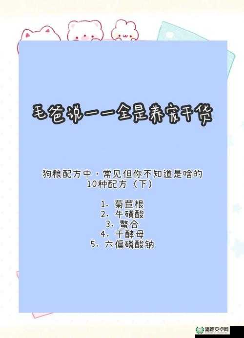人狗胶配方大全狗狗一：全方位探索狗狗专属胶配方秘籍