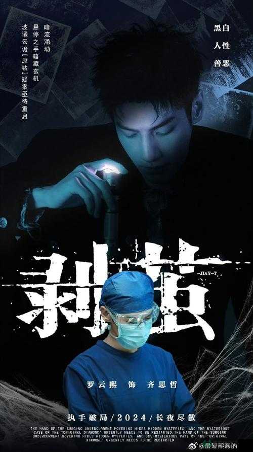 夜晚急诊室 2：深夜里的生命守护与故事延续