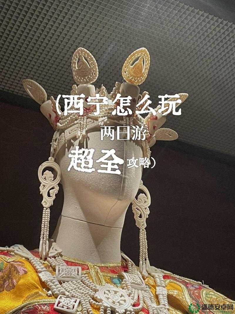 亚欧色视频：探索多元文化的视觉之旅