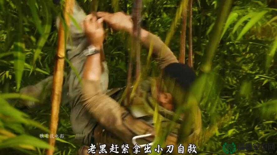 国产户外野战 AAAAAAA：探索未知的户外激战冒险之旅