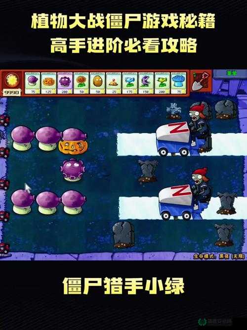 植物大战僵尸，如何掌握10炮流技巧，解锁无尽模式制胜秘籍揭秘？