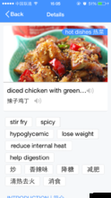 伊尔2，掠食之翼，菜单选项翻译揭秘，玩法革命将如何颠覆传统体验？